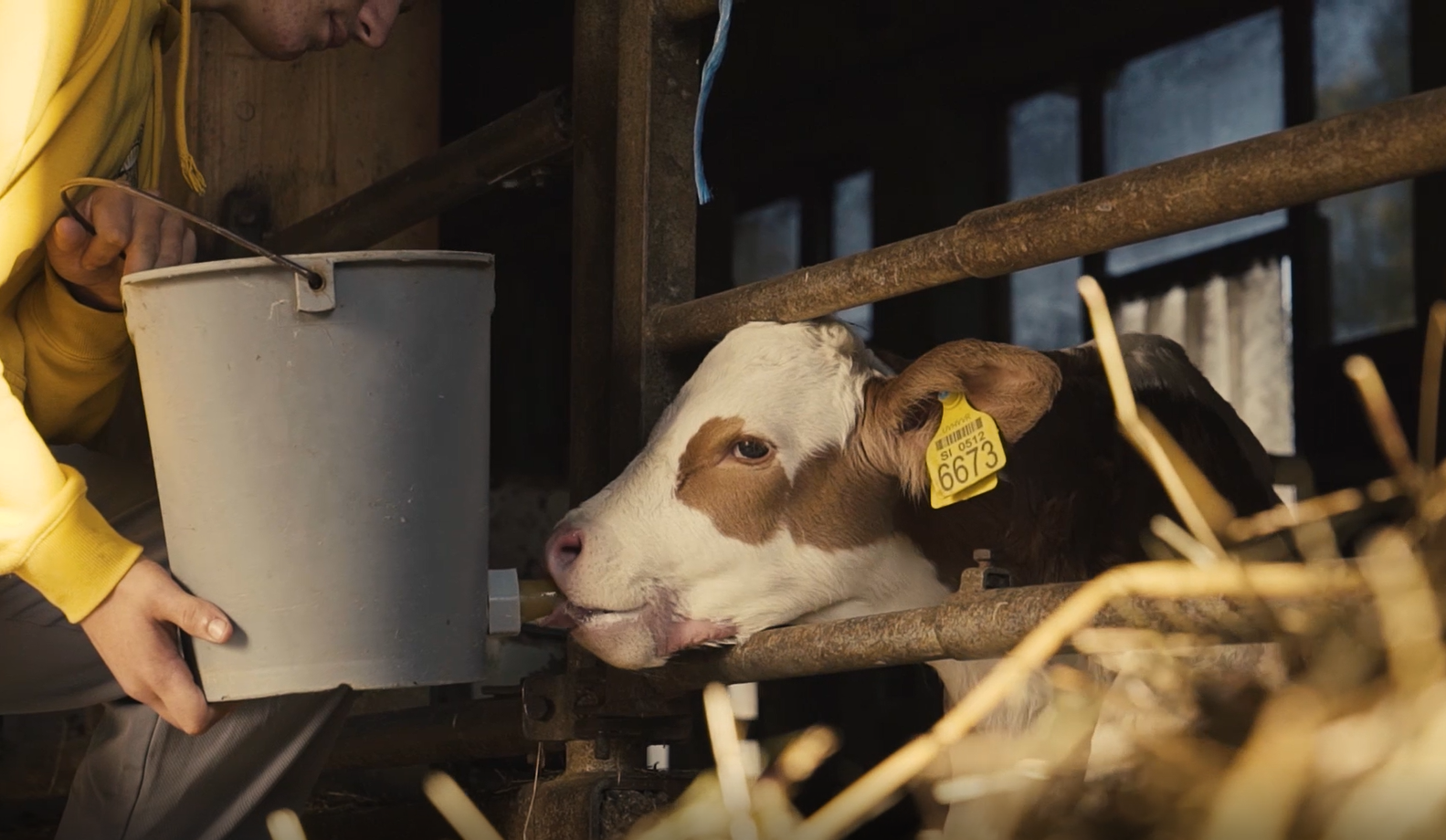 Farming as an employment opportunity for people with Mild Intellectual Disability - Slovenia