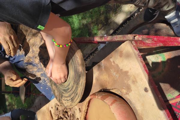 Out and about - Developing functional knowledge through outdoor learning